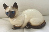 Siameser Katze