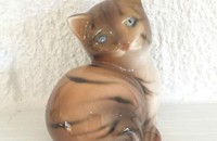 Braune Katze mit blauen Augen