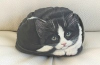Fenster Stop Kissen schwarz-weisse Katze