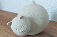 Katze Lineasette sand