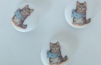 3 Knöpfe mit getigerter Katze