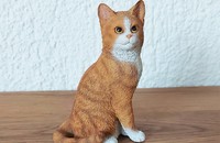 Fraser Family Friends Collection rot getigerte Katze sitzend