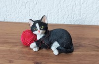 Schwarze Katze mit weissen Pfoten und roter Wolle
