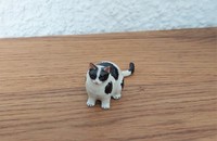 Miniatur dicke weiss-schwarze Katze sitzend