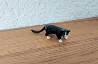 Miniatur schwarze Katze mit schwarzen Pfoten II