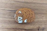 Stein rostbraune Katze