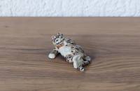 Miniature getigerte Katze mit Fliege