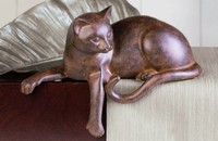 Braune Katze Kantenhocker