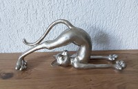 Katze liegend Yoga aerobic