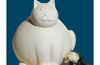 Dicke Katze Molli