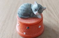 Kleine Dose orange mit grau getigerter Katze