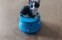Kleine Dose blau mit schwarz weisser Katze
