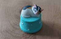 Kleine Dose türkis mit dreifarbiger Katze H