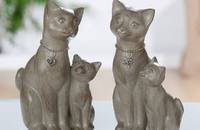 1 Katze Becky sitzend mit Kätzchen