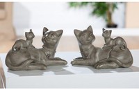 1 Katze Becky liegend mit Kätzchen links