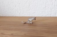 Miniature Katze kratzt sich beim Ohr