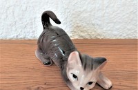 Kleine graue Katze