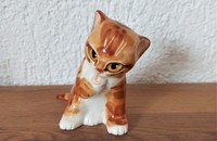 Katze rostfarbig bei der Toilette