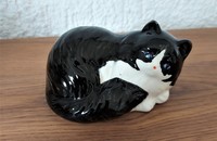Kleine schwarz weisse Katze
