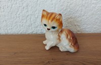 Kleine Katze mit blauen Augen