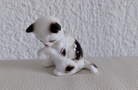 Kleine weiss-schwarze Katze vintage schleckt seine Pfote 24