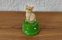 Kleine grüne Dose mit beiger Katze
