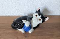 Schwarz-weisse Katze Staffordshire Just Cats & Co