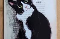 Blechschild Katze Colette