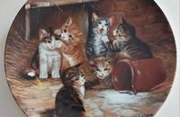 Sammelteller Katzen Das Missgeschick
