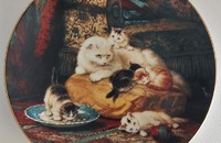 Sammelteller Katzen Daydreams