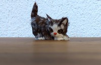 Katze aus Fell mit Hinter in die Höhe
