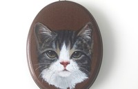 Katzenporträt