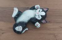 Schwarz-weisse Katze auf dem Rücken liegend