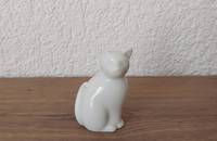 Kleine weisse Katze sitzend