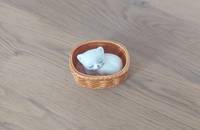 Kleine Katze im braunem Korb