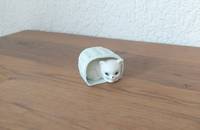Kleine Katze im Korb liegend