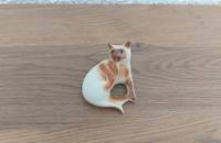 Siameser-Katze leckt die Hinterpfote