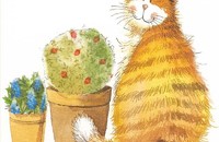 Alex Clark Untersetzer Katzen Schnurrhaare