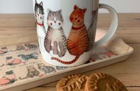 Alex Clark wunderbare Mietzekatzen