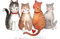 Alex Clark Untersetzer Wunderbare Mietzekatzen