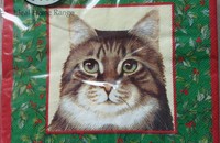 Weihnacht Servietten grün mit 4 Katzenporträt