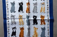 Küchentuch Katzen Kittens arrived