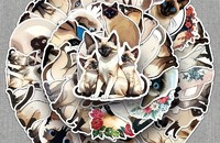 50 Aufkleber Siameser Katzen