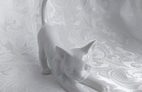 Weisse Katze spielend