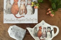 Alex Clark Kleiner Teller Katzen Marvellous Moggies