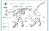 Akupunktur Tafel Engergie-Balance Katze