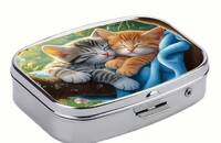 Pillendose 2 schlafende Kätzchen