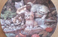 Sammelteller Katzen Am Seerosenteich