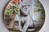 Sammelteller Kaiser Jungkatzen 1