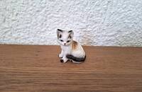 Kleine Katze weiss, schwarz, braun, sitzend